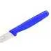 Nóż kuchenny Victorinox Standard Paring Blue 10 cm 5.0702 7611160511072 2